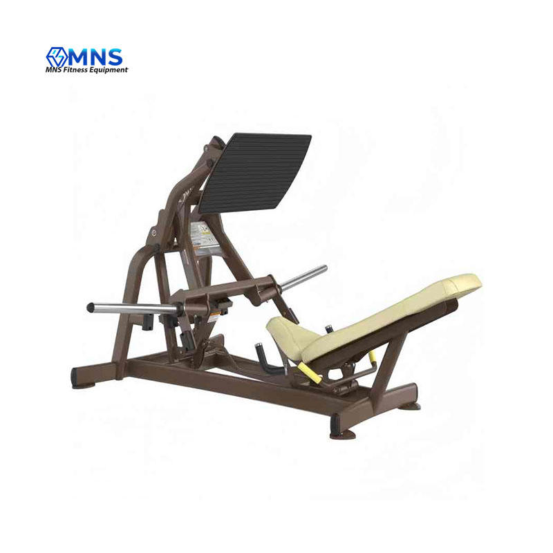 Home Gym With Leg Press - Machine de presse à jambes à
