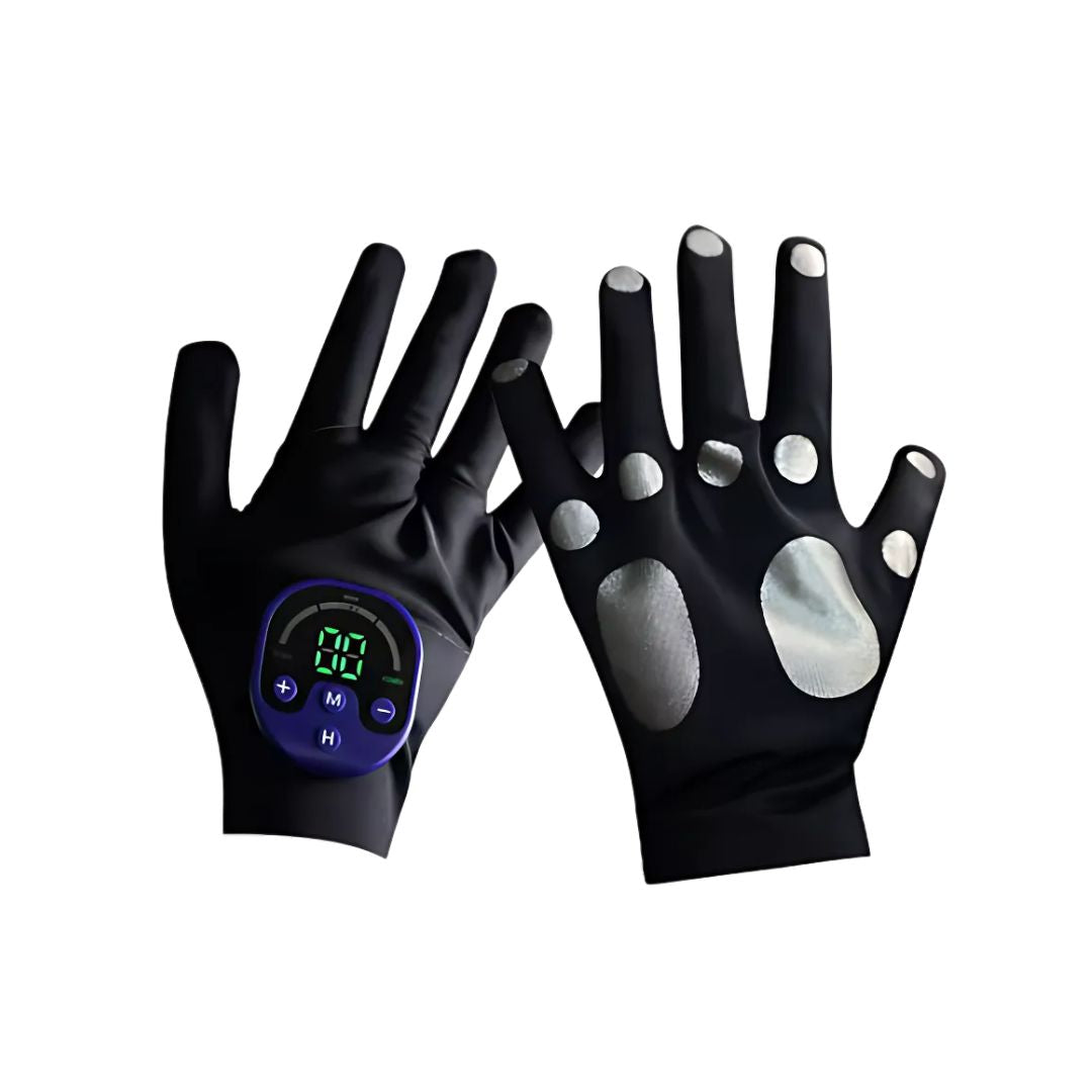 Gants EMS pour chevaux, Stimul - Home Gym App avis et prix